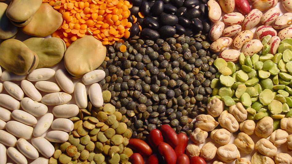 legumineuses vrac bio